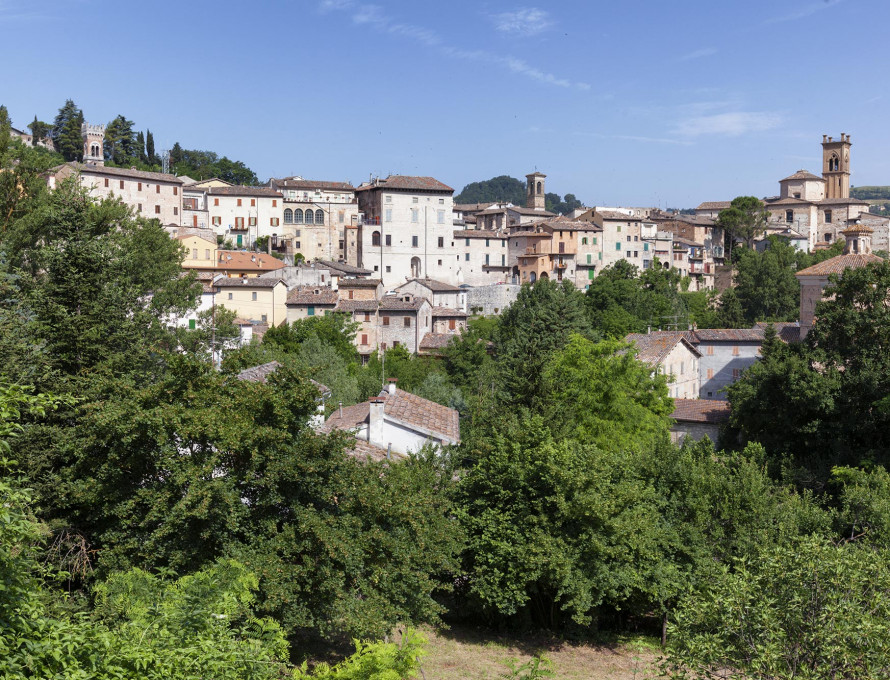 media.Pergola_312662940