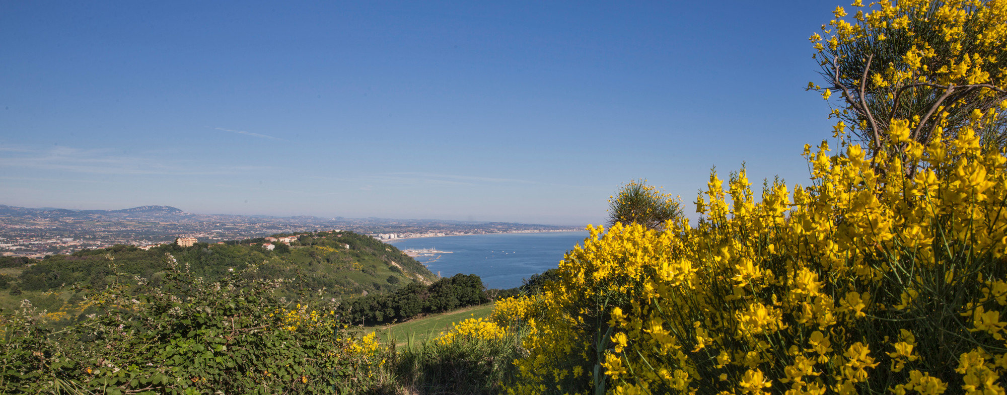 media.1 - san Bartolo
